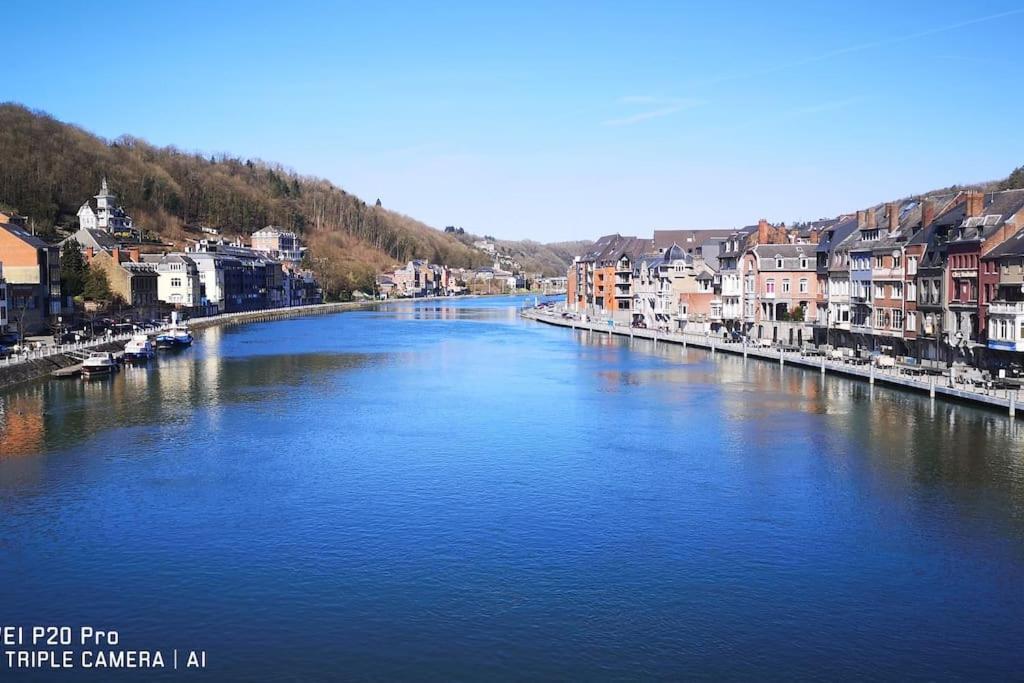 Vue Sur Meuse Avec Jacuzzi Et Sauna Exterieur. Yvoir Екстер'єр фото